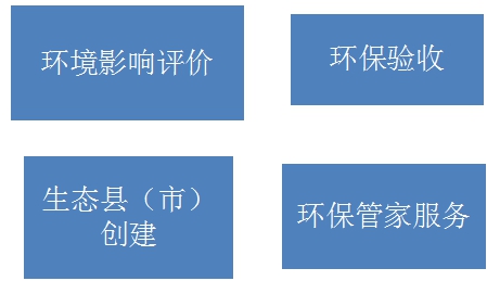 環(huán)境影響評價及其他